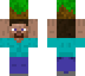 steve holding what grass should look like
