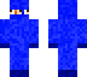 the blue ninja