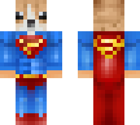 doggy superman