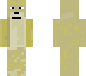 mincraft doge