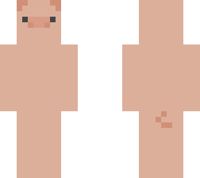 pig