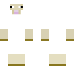 sheep