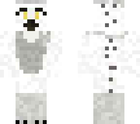 snowy the snowy owl (best name ever)