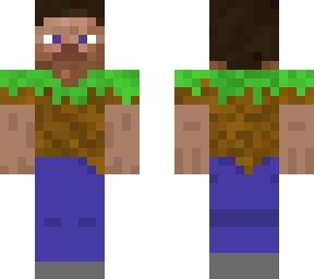 blocky steve - dirt