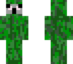camo koala