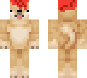 dogo with red hair(me... kinda)