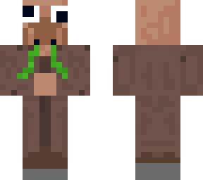 minecraft pro