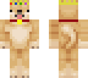 royal shiba