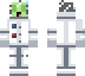 skin