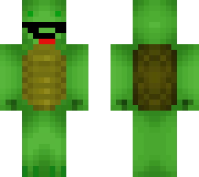 cool turtle
