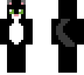 cute kitten (pfp)