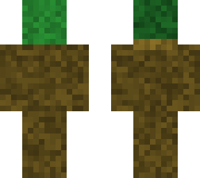 dirt