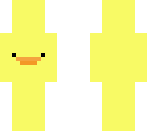 duck skin