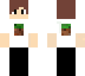 minecraft t-shirt
