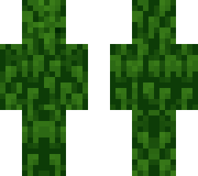 camuflage