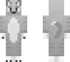gray cat