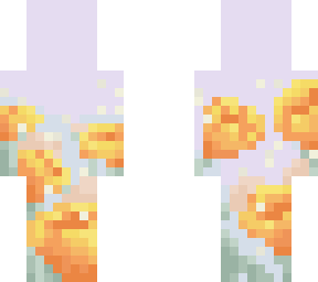 california poppies - ce