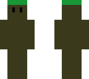 dirt block skin