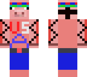 patriotic pig