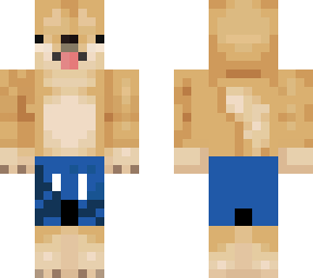 doge summer but with shadow