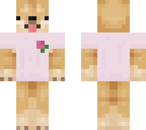 faliz dog