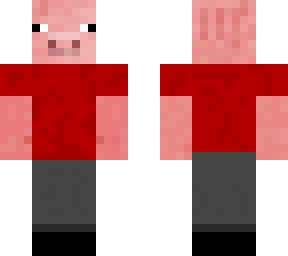 tshirt pig