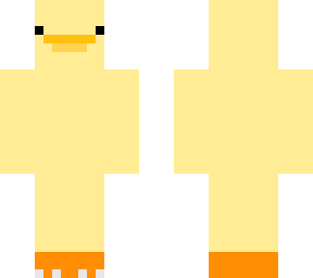 duck thing
