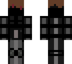 the assassin ninja