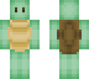 turtle b01