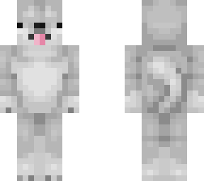 grey dog