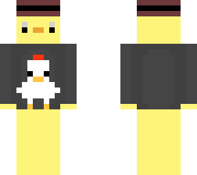 hudsons skin