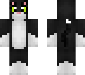 ari - black cat