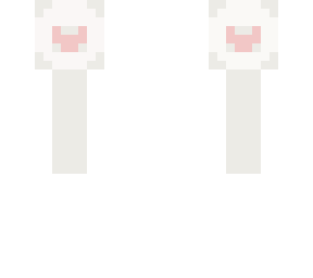 companion cube
