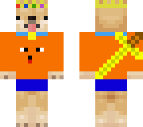 picacharas shiba
