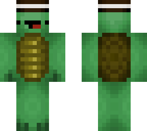 the most wonderful turtle