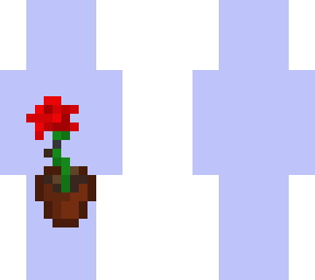 .~.classic rose.~.
