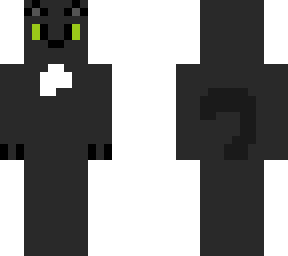 magic (my cat)