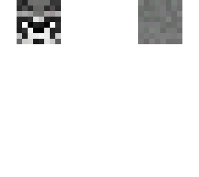 racoon head