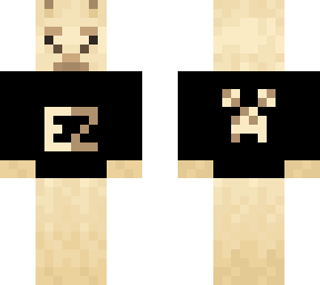 the b minecraft skin