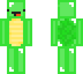 turtle