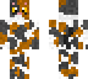 ari - daniel's cat