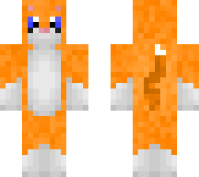 ari - ginger cat