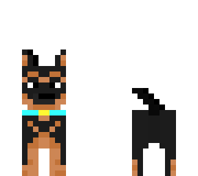 dog