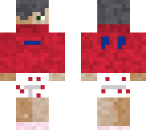 pig's skin