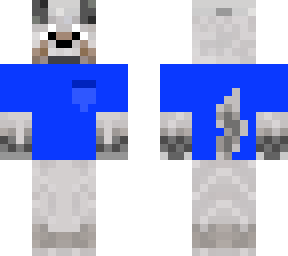 dog with shirt