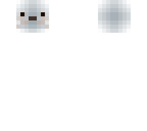 sea otter head