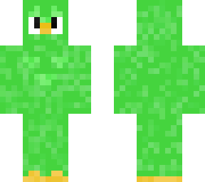 duolingo bird