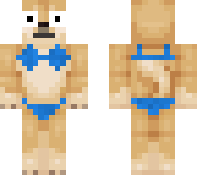 bikini doge