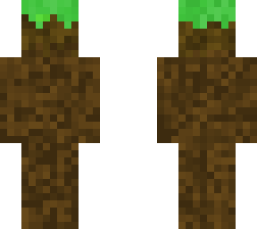 dirt