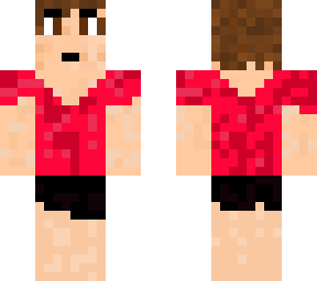 me turned into an avatar minecraft skin.